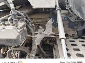2024-wirtgen-w195i-49013220