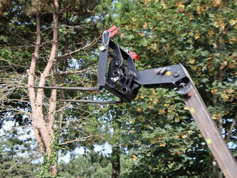 2023-jcb-514-40-con-49014792