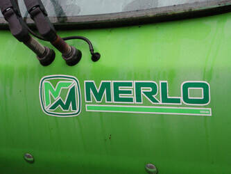 2013-merlo-mpr-15-1485360-49017848