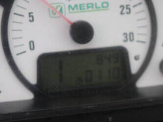 2013-merlo-mpr-15-1485360-49017863