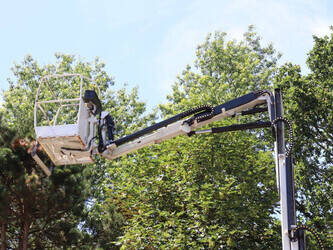 2012-jlg-toucan-1310-1485365-49018018