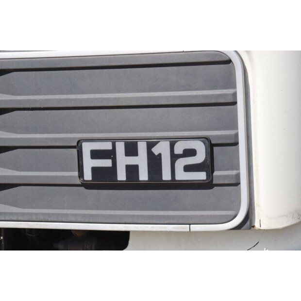 1994 فولفو FH12-49018309