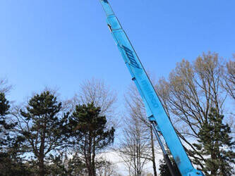 2012-genie-s-125-1485379-49018369