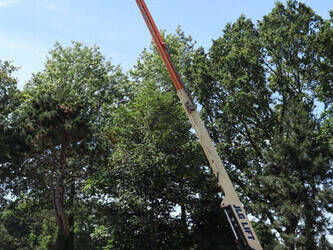 2007-jlg-460sj-1485667-49026924
