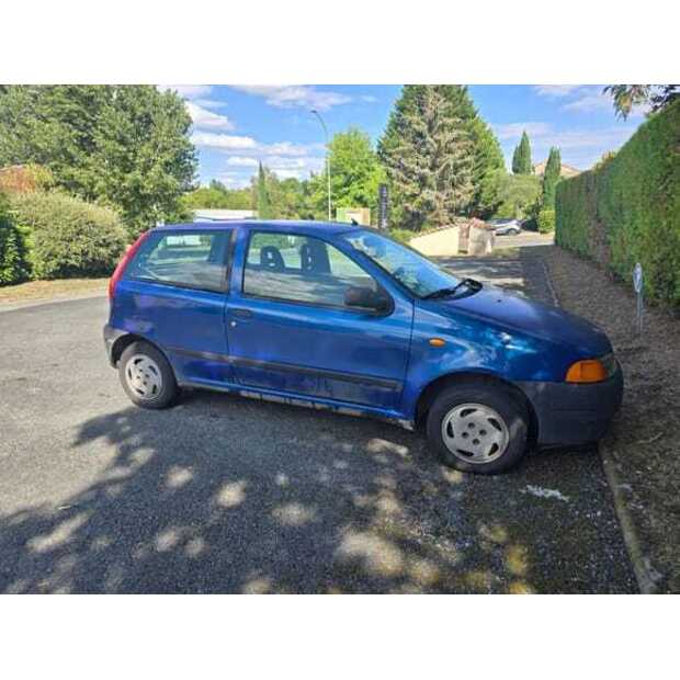 Fiat Punto-49033679