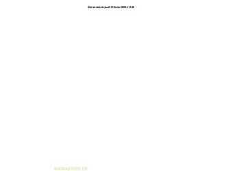 2013-renault-maxity-1486029-49038133