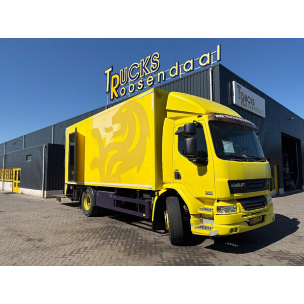 2009 DAF LF-49089831