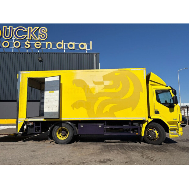 2009 DAF LF-49089833
