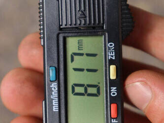 wiese-sa-31-cs-s-49148553