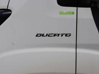 fiat-ducato-maxi-49154560