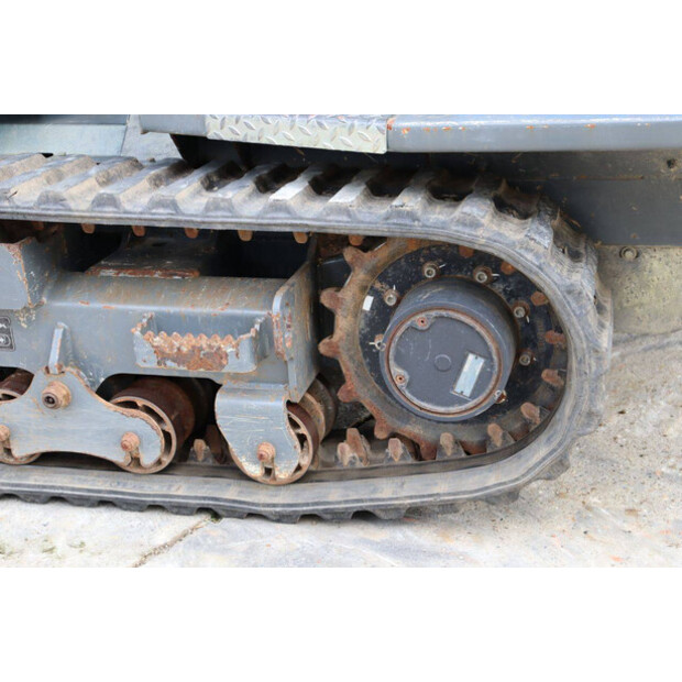 نيوسون DT23-49155558