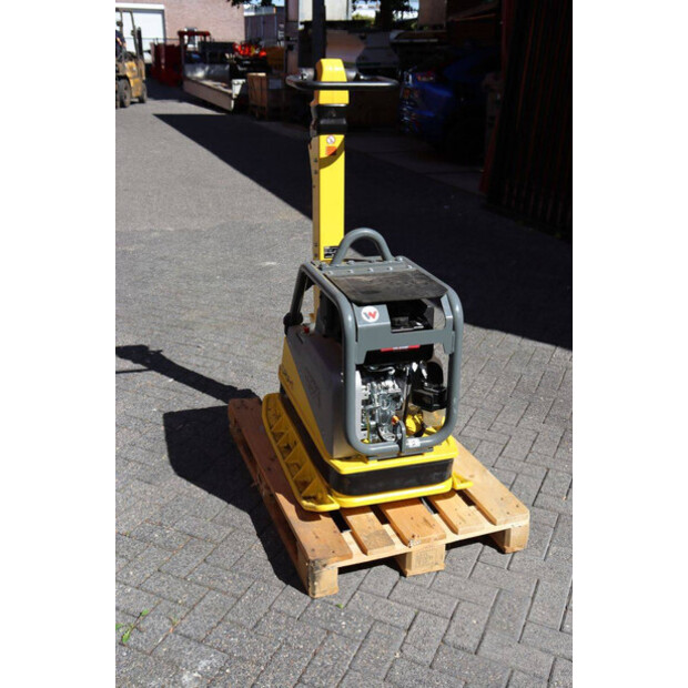 2024 Neuson DPU45-49156512