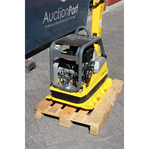 2024 Neuson DPU45-49156515