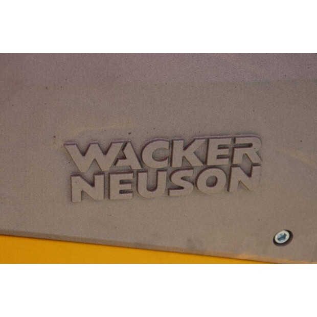 2024 Neuson DPU45-49156522