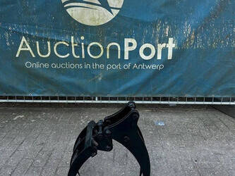 صورة ل خطاطيف Belrecolt OTHERS