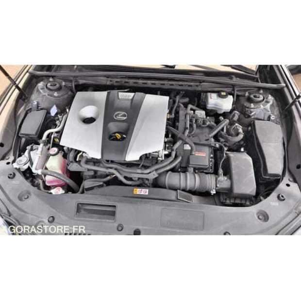 2021 LEXUS ES300H-49202166