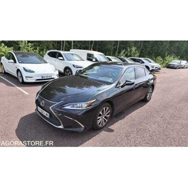 2021 LEXUS ES300H-49202178