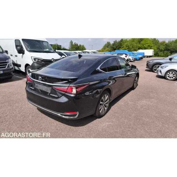 2021 LEXUS ES300H-49202190