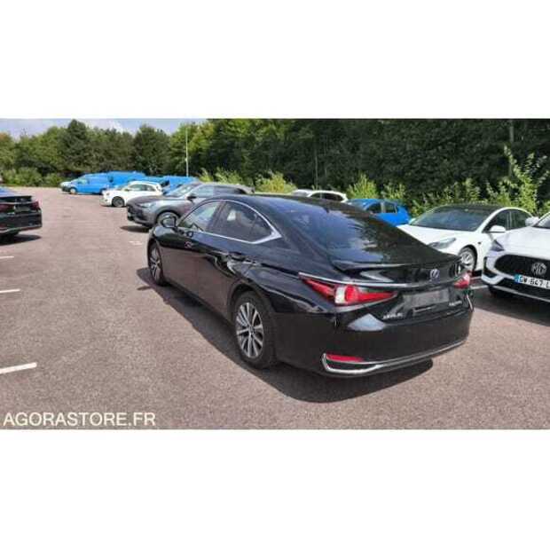 2021 LEXUS ES300H-49202194