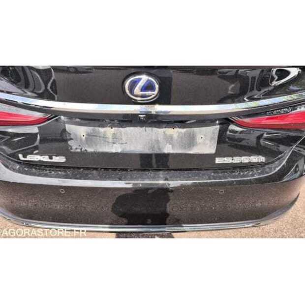 2021 LEXUS ES300H-49202195