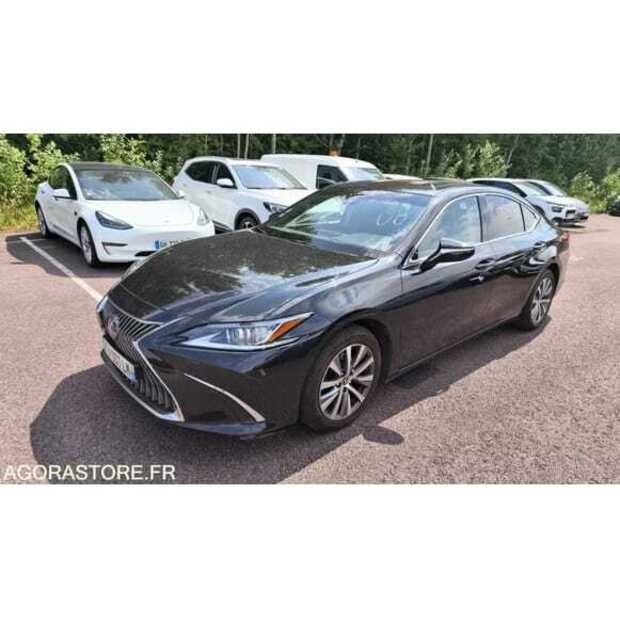 2021 LEXUS ES300H-49220814