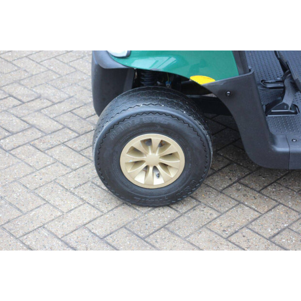 2019 EZ-GO RXV-49222946