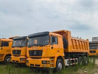 Image de CAMIONS 2023 SHACMAN F3000 À vendre à Chine