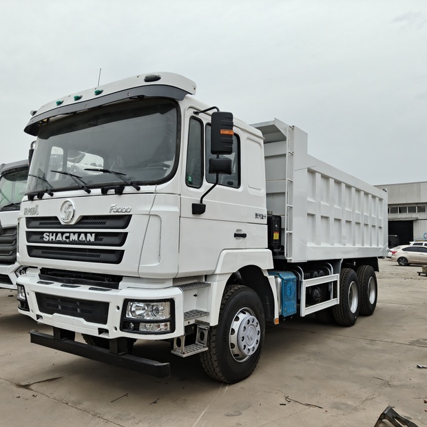 2024 SHACMAN F3000-49233307