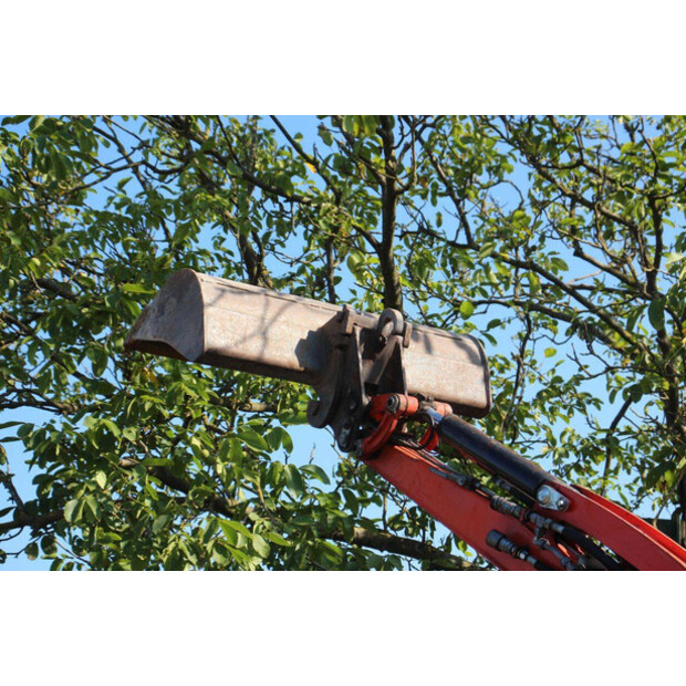 2019 KUBOTA KX019-4-49242662