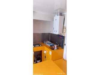 daudin-bvr5v-49265097