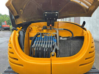 2009-jcb-8056-1492316-49275743
