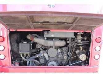 temsa-safari-49277959