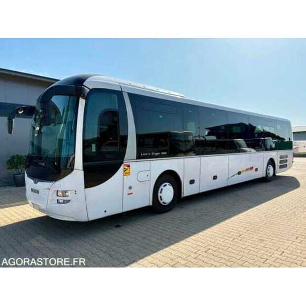 مان Lions-49296405