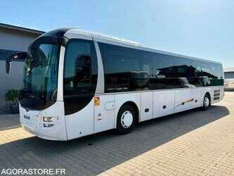 Image for BUSES MAN Lions