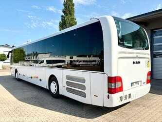 man-lions-49296411