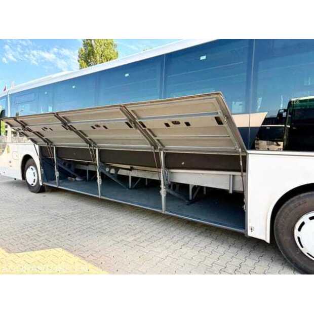مان Lions-49296413