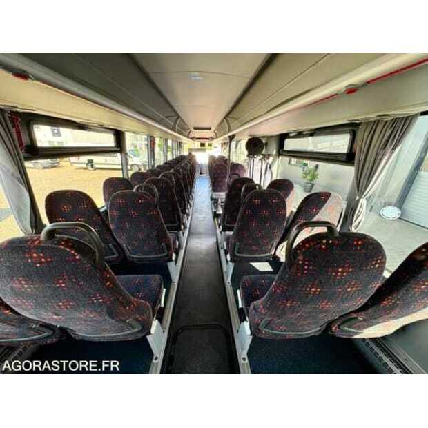 مان Lions-49296419