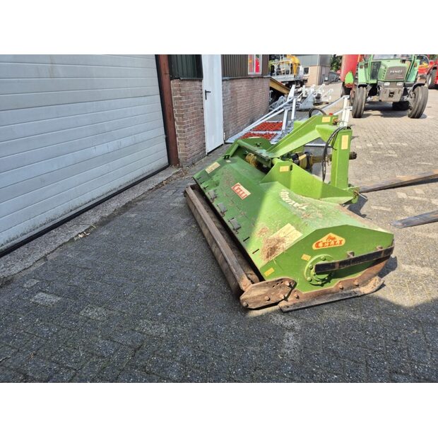 2018 CELLI-49300271