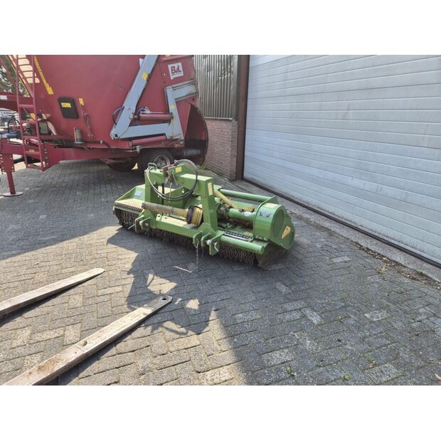 2018 CELLI-49300272