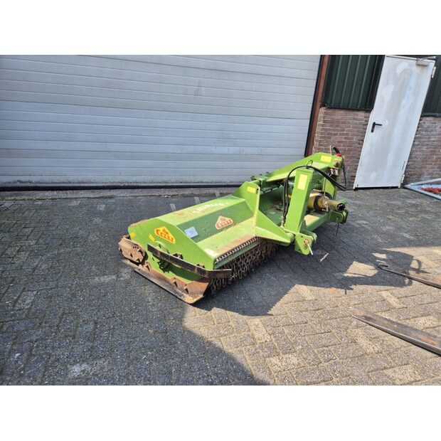 2018 CELLI-49300273