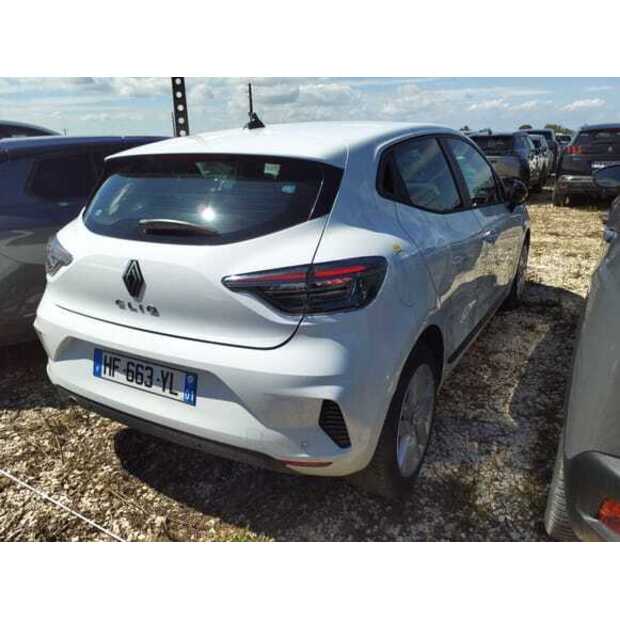 Renault Clio-49314854