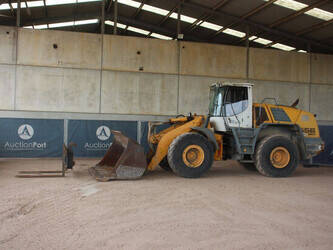 2007-liebherr-l556-1499546-cover-image