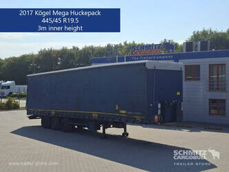 2017-koegel-others-1509630-cover-image