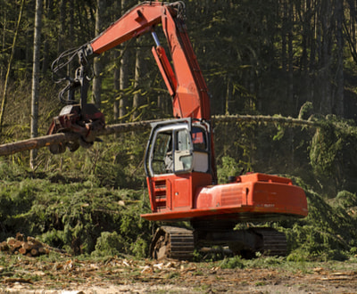 Wheel loaders, excavators, cranes, trailers, tractors for sale Wheel ...