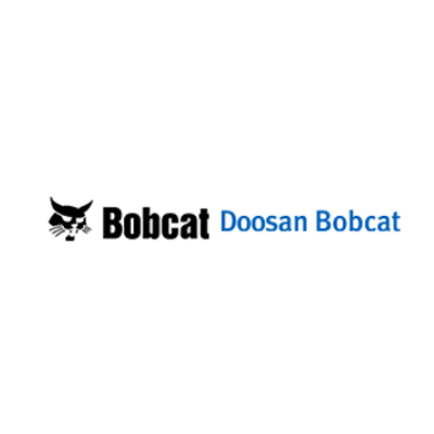 Bobcat